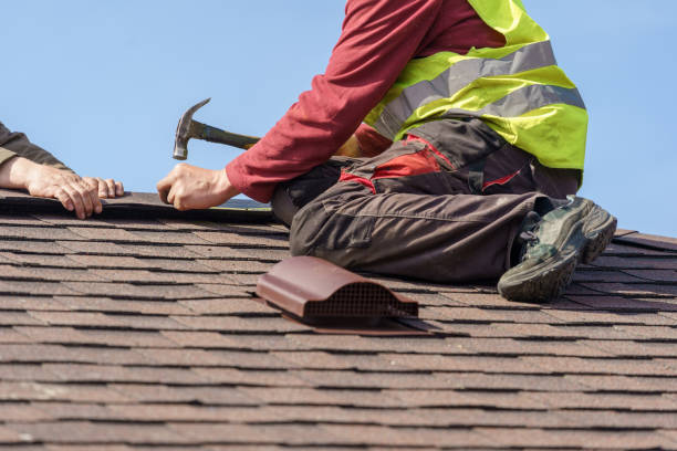 Best Roof Gutter Cleaning  in Elk River, MN