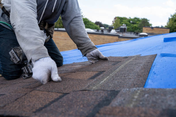 Professional Roofing Contractor in Elk River, MN