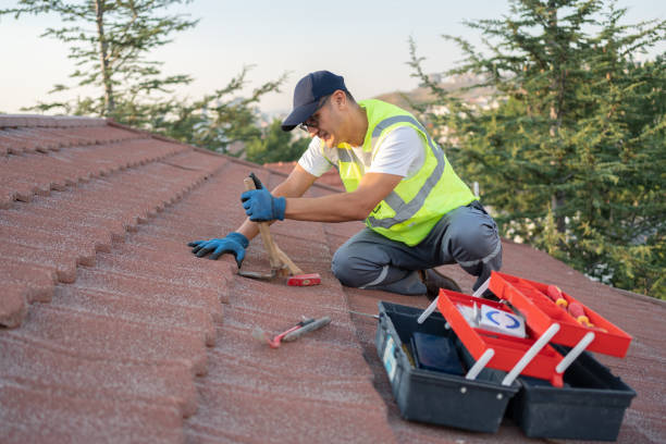 Quick and Trustworthy Emergency Roof Repair Services in Elk River, MN