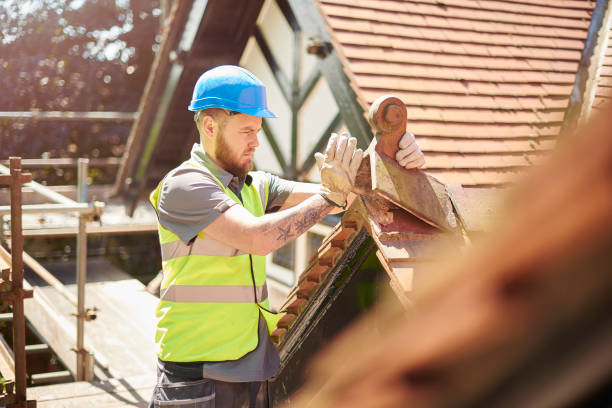 Best Roof Replacement Cost  in Elk River, MN