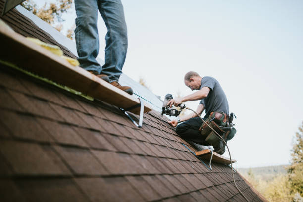 Residential Roof Replacement in Elk River, MN
