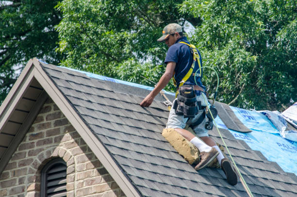 Best Residential Roof Replacement  in Elk River, MN